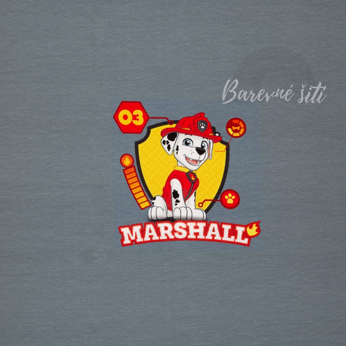 Úplet Marshall, panel (E)