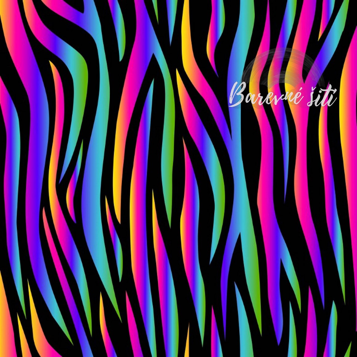 Úplet Duhová zebra (E)