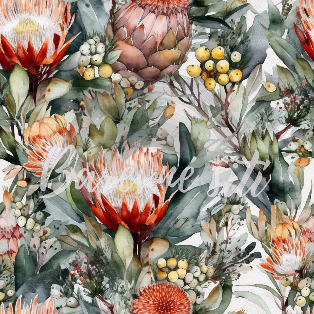 Teplákovina, Protea královská (E)