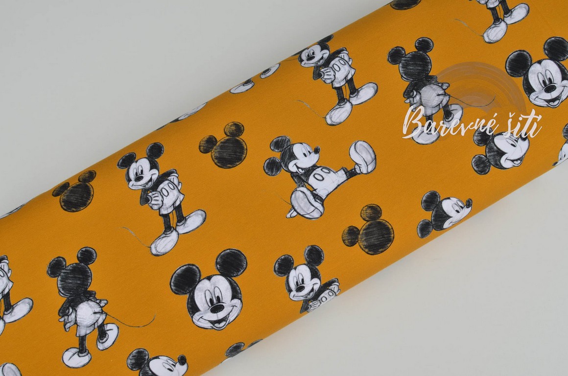 Úplet Mickey na okru (E)