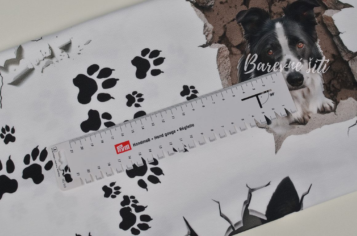 Úplet, Border kolie, ťapky (E)