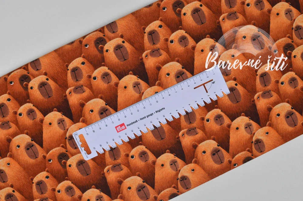 Teplákovina, Všude samá kapybara (E)