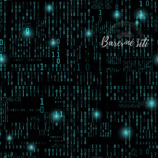 Úplet, Binární data (E)