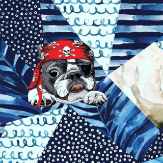 Úplet, Frenchie pirát, panel (E)