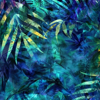 Silky, Modrozelená exotika (E)
