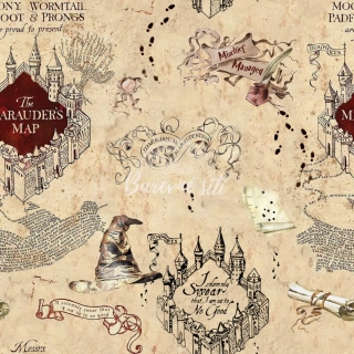 Úplet, Neplecha ukončena, mapa (E)