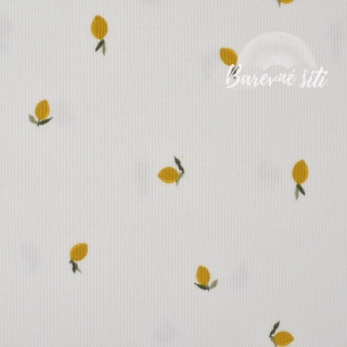 Žebrovaný úplet, Citrónci na bílé (E)